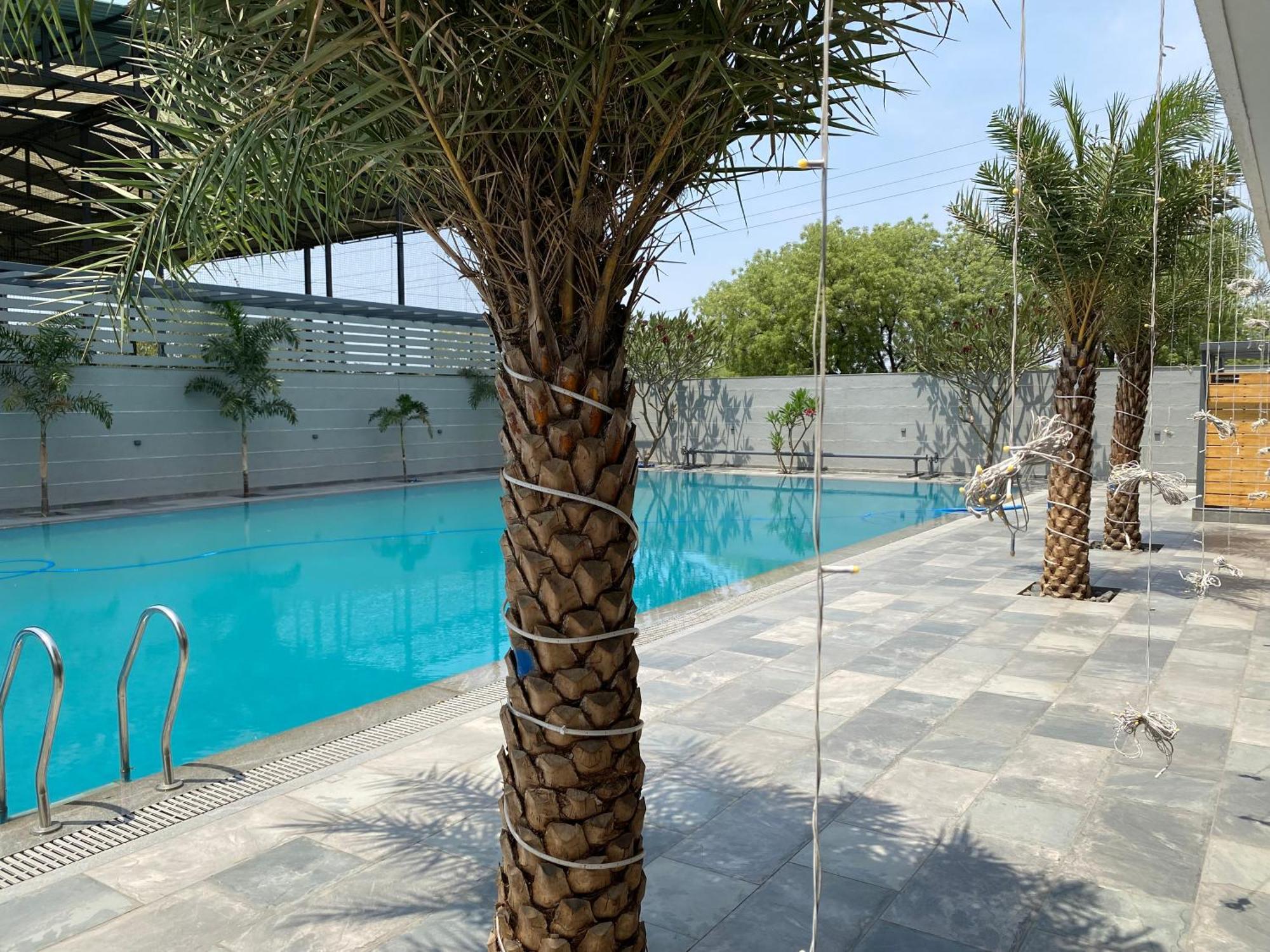 The Pavilion Park Resort Μαλεγκάον Εξωτερικό φωτογραφία